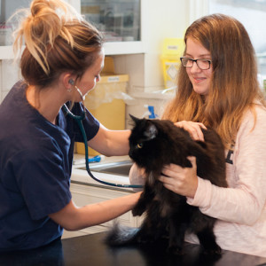 Book a free health check at Broadway Vets